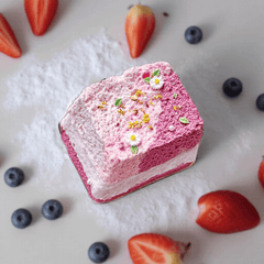 Berry Forest Toast Stress Relief Silicone Squishy Toy - lovesquishy
