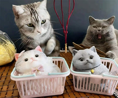 Customizable Chubby Cat - lovesquishy