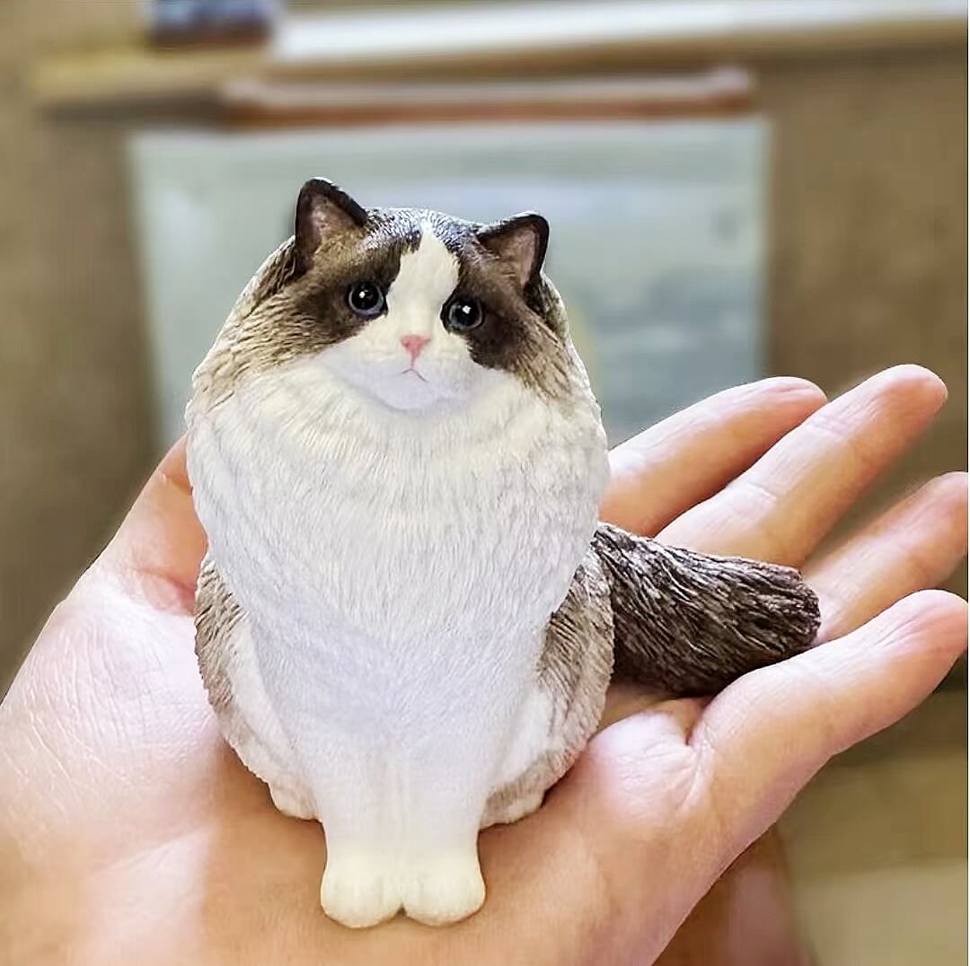 Pet Plaster Head Customization - lovesquishy