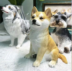 Pet Plaster Head Customization - lovesquishy