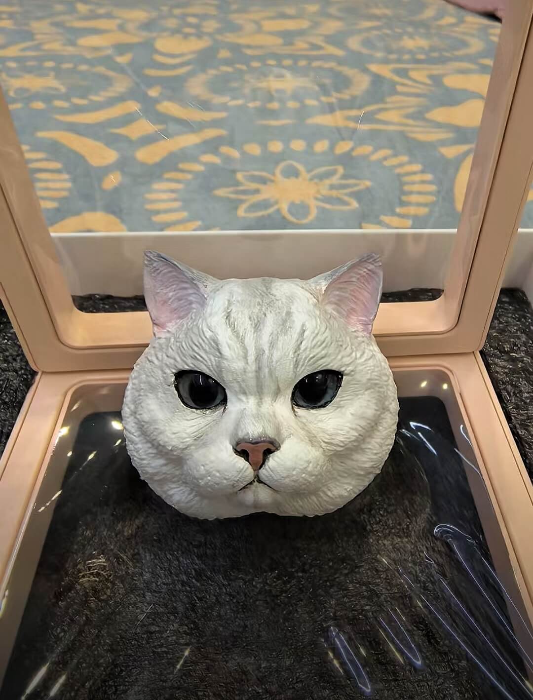 Pet Plaster Head Customization - lovesquishy