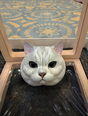 Pet Plaster Head Customization - lovesquishy