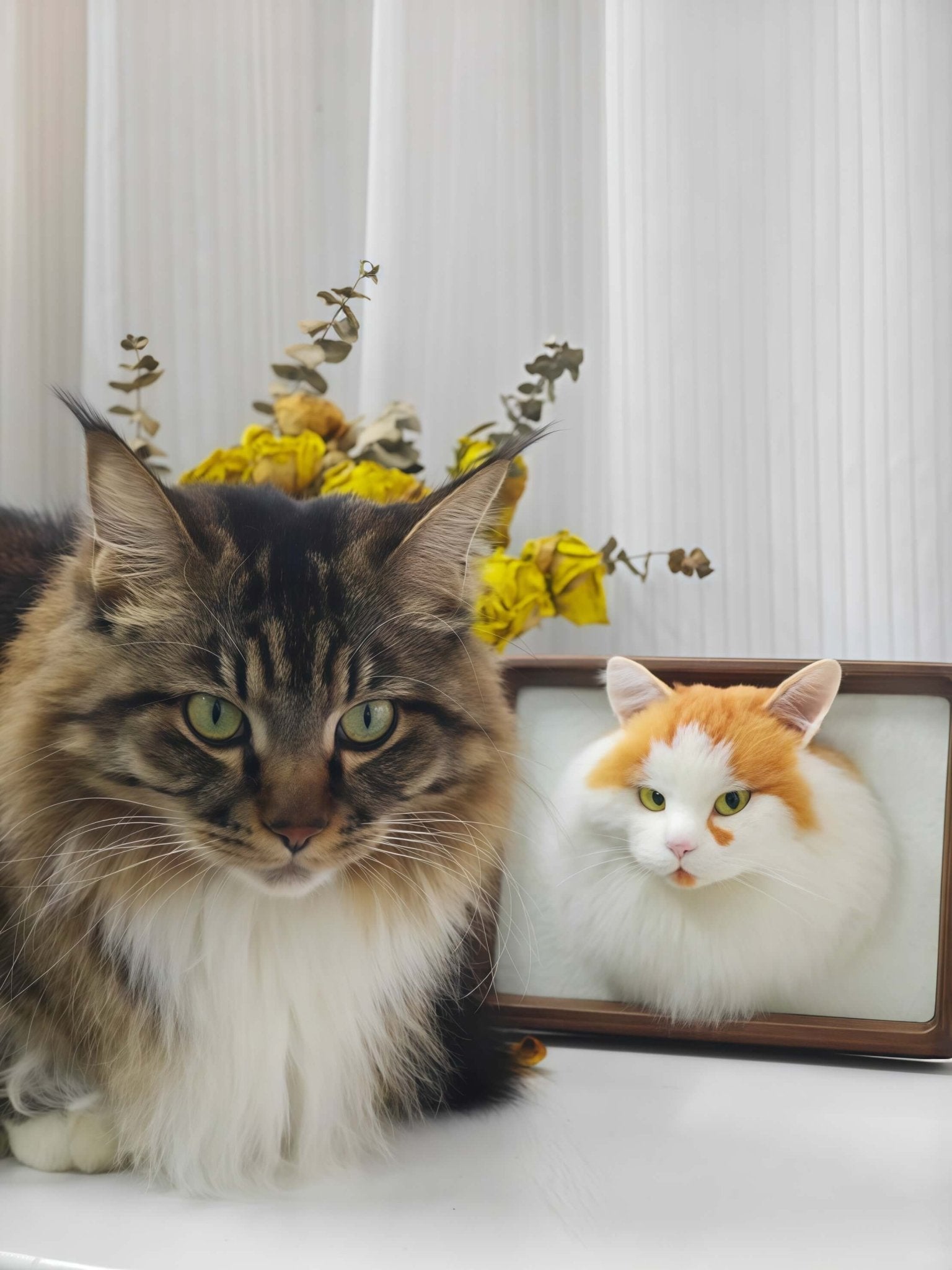 The handmade DIY felted wool poke fun finished product, realistic cat and dog figures. - lovesquishy