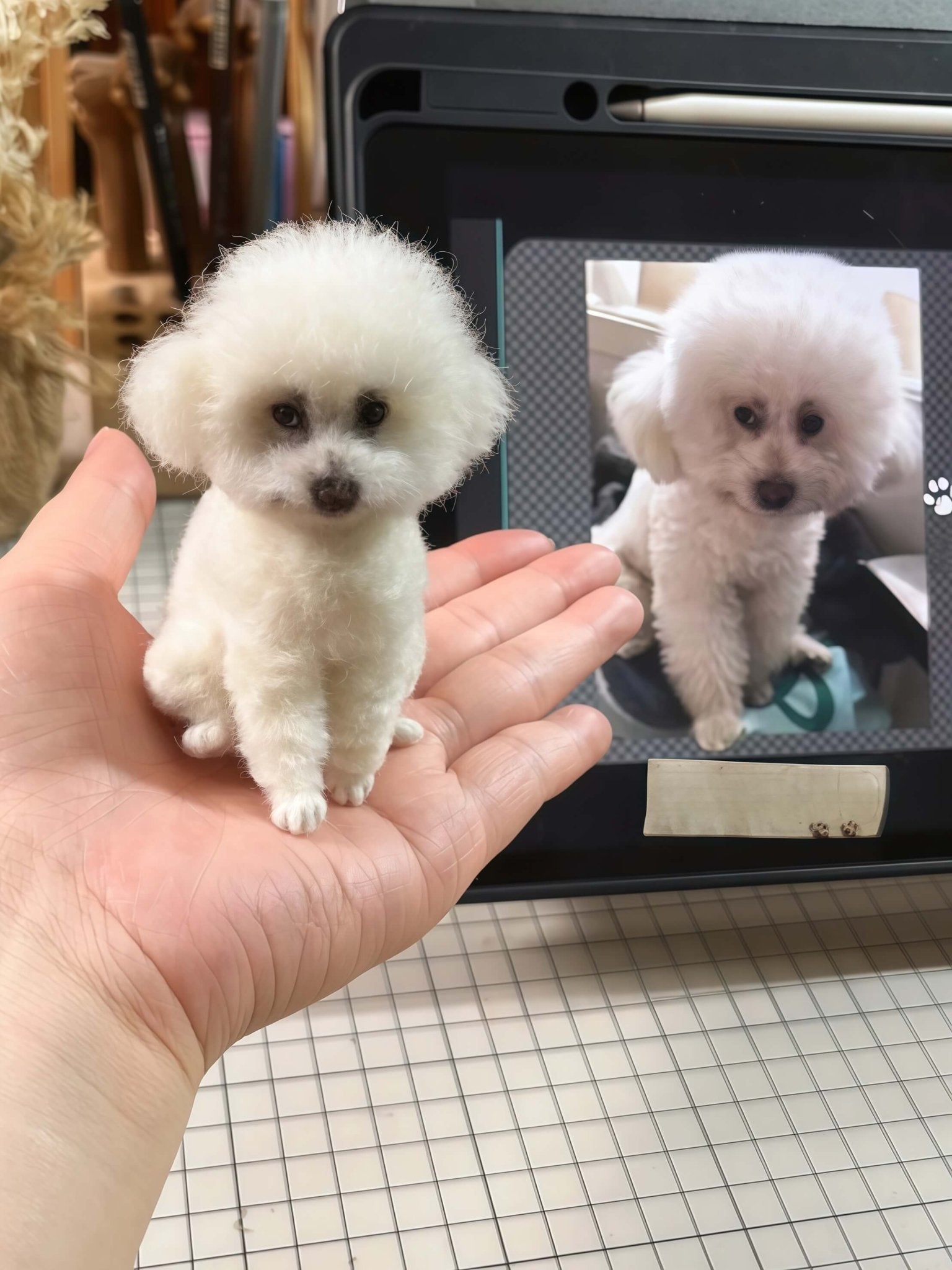 The handmade DIY felted wool poke fun finished product, realistic cat and dog figures. - lovesquishy