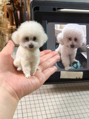 The handmade DIY felted wool poke fun finished product, realistic cat and dog figures. - lovesquishy