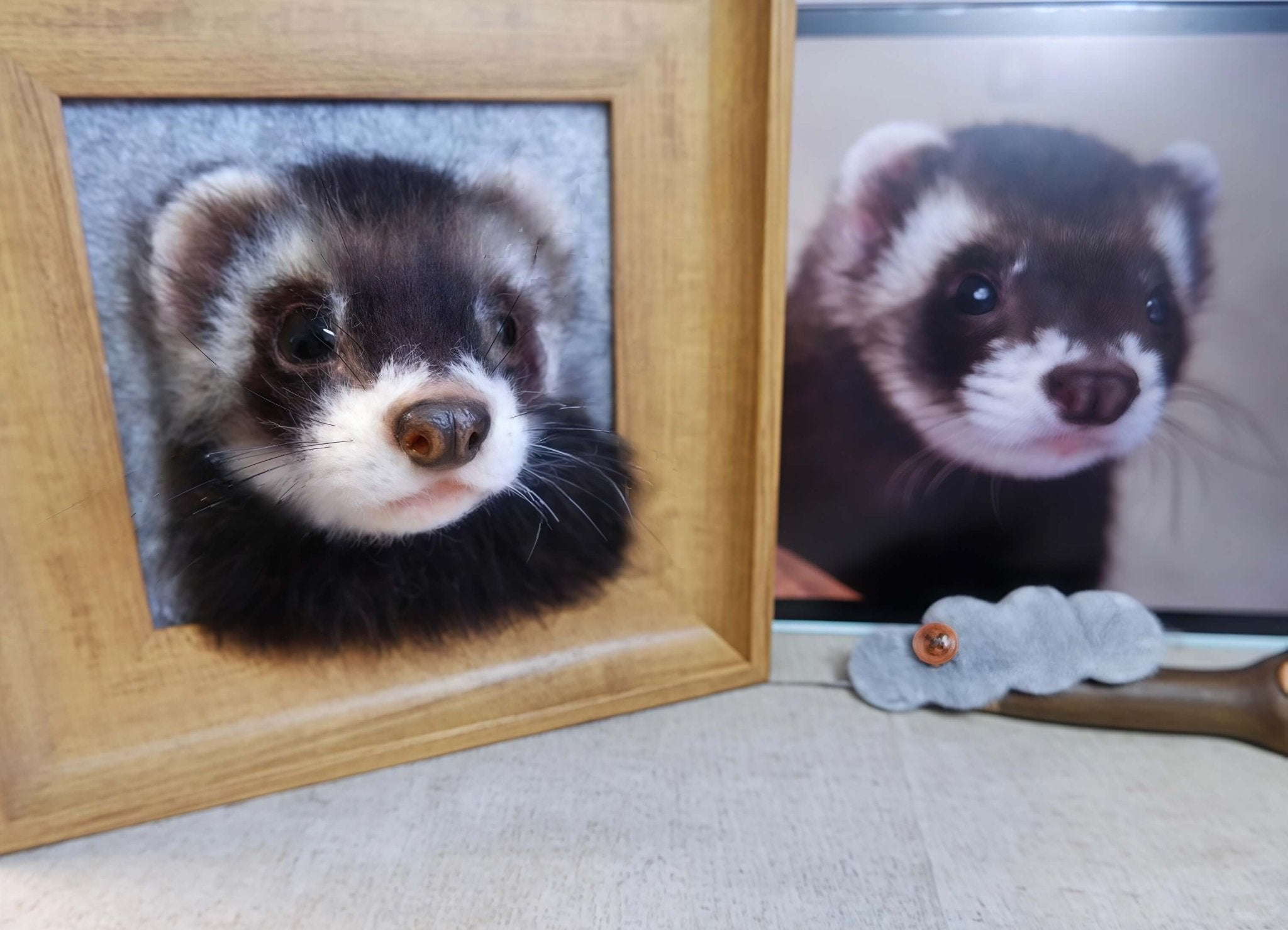 The handmade DIY felted wool poke fun finished product, realistic cat and dog figures. - lovesquishy
